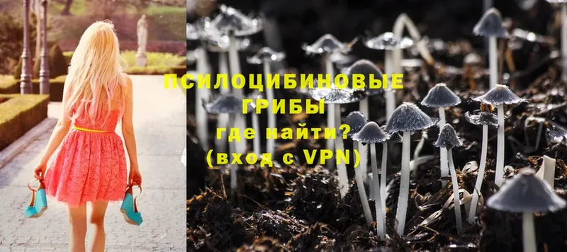 Галлюциногенные грибы MAGIC MUSHROOMS  Тюмень 